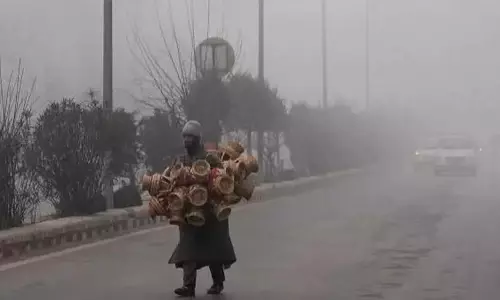 Kashmir के कई हिस्सों में घना कोहरा छाया, पारा शून्य से नीचे पहुंचा