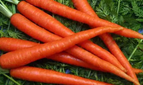 Food tips:  फ्रिज में लंबे समय तक गाजर को ऐसे रखें ताजा