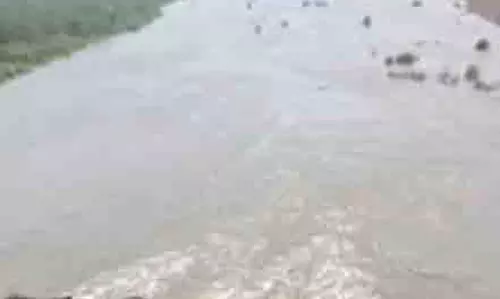चक्रवात फेंगल: भारी बारिश के कारण Kanchipuram में बांध ओवरफ्लो चक्रवात फेंगल: भारी बारिश के कारण Kanchipuram में बांध ओवरफ्लो