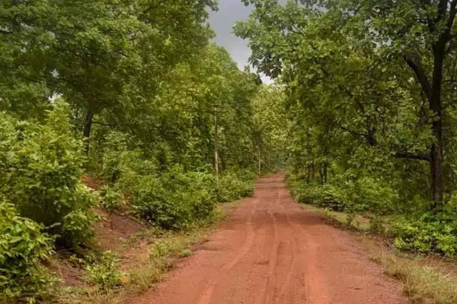 Jim Corbett National Park में महिलाओं पर निगरानी रखने वाले निगरानी कैमरों पर संपादकीय