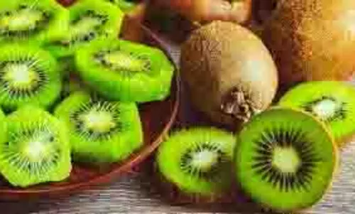 Health: प्लेटलेट्स बढ़ाने के लिए रोजाना करें इन चीजों का सेवन Health: प्लेटलेट्स बढ़ाने के लिए रोजाना करें इन चीजों का सेवन
