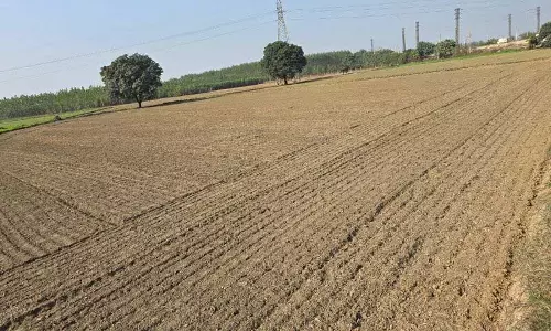 Haryana : यमुनानगर-जगाधरी नगर निगम अपनी 85 एकड़ जमीन और 27 तालाब पट्टे पर देगा Haryana : यमुनानगर-जगाधरी नगर निगम अपनी 85 एकड़ जमीन और 27 तालाब पट्टे पर देगा