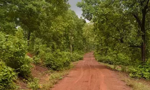 Jim Corbett National Park में महिलाओं पर निगरानी रखने वाले निगरानी कैमरों पर संपादकीय