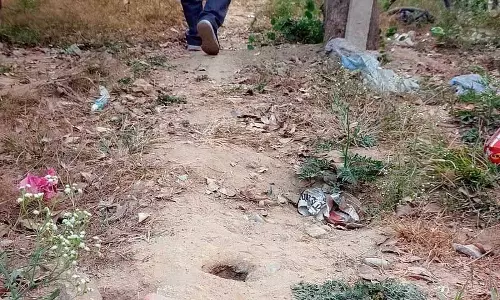 चूहों से पटियाला का Rajindra अस्पताल पाइड पाइपर में तब्दील