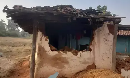 ग्रामीण खौफ में, 5 मवेशियों को हाथियों ने कुचलकर मारा