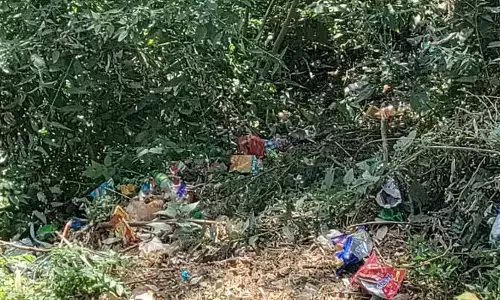 Shimla में प्लास्टिक कचरा, सैंज कॉलेज भवन का निर्माण बाकी Shimla में प्लास्टिक कचरा, सैंज कॉलेज भवन का निर्माण बाकी