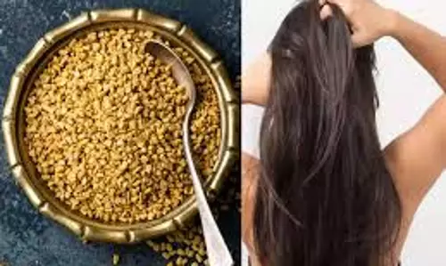 Lifestyle: अपने बालों को बनाना चाहते हैं लम्बा और काला, अपनाएं मेथी दाने के ये कारगर उपाय