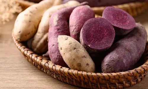 शकरकंद : वजन घटाने के लिए बेहद लाभदायक चीज शकरकंद : वजन घटाने के लिए बेहद लाभदायक चीज
