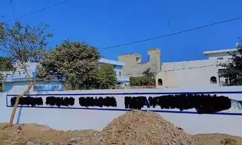 शरारती तत्वों ने NRI स्कूल की नई रंगाई की गई चारदीवारी को क्षतिग्रस्त कर दिया