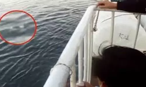 China में बीमा राशि के लिए पत्नी को धक्का देने पर व्यक्ति को मौत की सजा