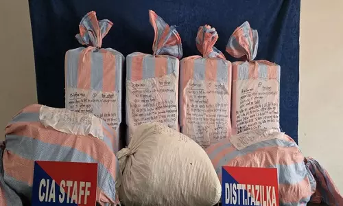 Punjab पुलिस ने ड्रग रैकेट के अंतरराज्यीय नेटवर्क का किया भंडाफोड़