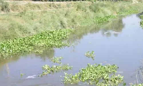 Ludhiana : रंगाई इकाइयों के सीईटीपी आउटलेट का विरोध तेज