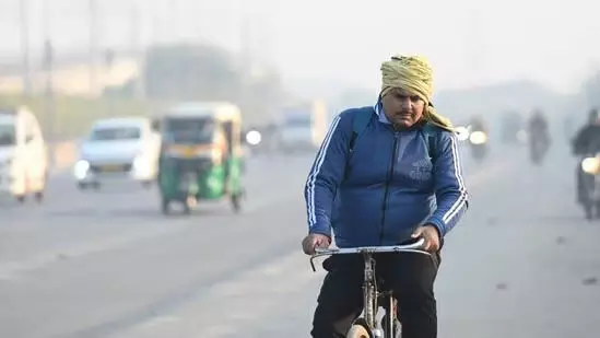 दिल्ली में सर्दी की धीमी शुरुआत दिसंबर में भी जारी रहने की संभावना: IMD