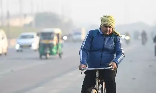 दिल्ली में सर्दी की धीमी शुरुआत दिसंबर में भी जारी रहने की संभावना: IMD