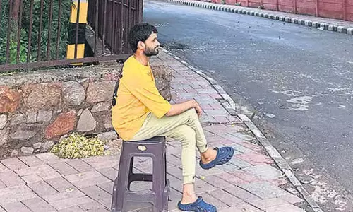 Delhiwale: अली का अमलतास