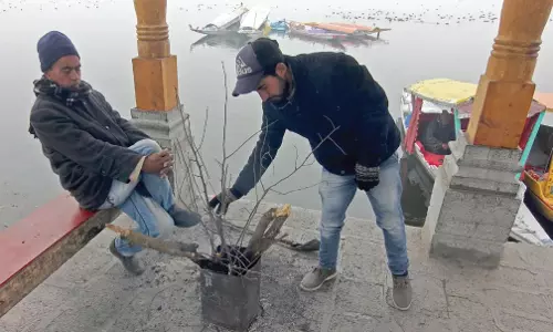 J&K: घाटी में रात का तापमान बढ़ा, लेकिन हिमांक बिंदु से नीचे रहा J&K: घाटी में रात का तापमान बढ़ा, लेकिन हिमांक बिंदु से नीचे रहा