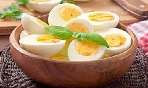 Egg Benefits: सर्दियों में इन तरीकों से अपनी डाइट में शामिल करें अंडे