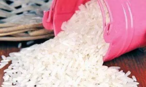 Telangana: सरकार ने एक साल में कल्याणकारी योजनाओं पर 61,516 करोड़ रुपये खर्च किए Telangana: सरकार ने एक साल में कल्याणकारी योजनाओं पर 61,516 करोड़ रुपये खर्च किए