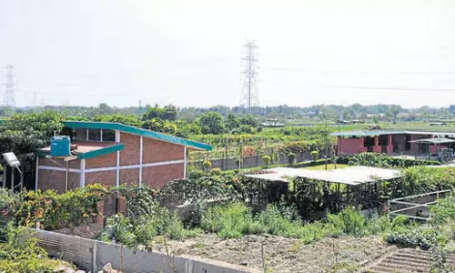 Yamuna के बाढ़ क्षेत्र में फार्महाउस, प्लॉट खरीदने से बचें Yamuna के बाढ़ क्षेत्र में फार्महाउस, प्लॉट खरीदने से बचें