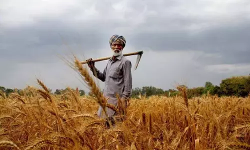 Katihar: रबी अभियान 2024-25 के तहत किसानों को दी गई रबी खेती की जानकारी
