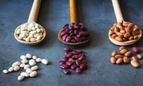 अपने हृदय स्वास्थ्य को बढ़ावा देने के लिए वनस्पति प्रोटीन का सेवन करें