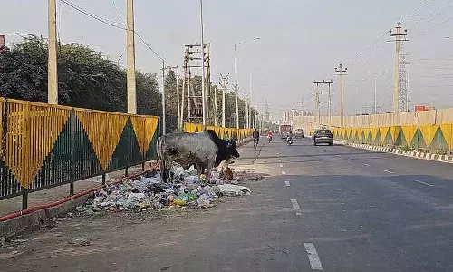 Haryana :  फरीदाबाद में एक्सप्रेसवे के किनारे कचरे की डंपिंग पर रोक न लगने से एनएचएआई चिंतित