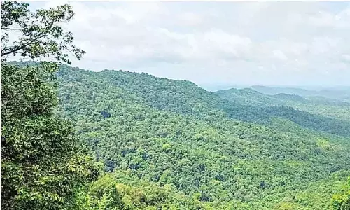 KSPCB से वन विभाग को 426 करोड़ रुपये हस्तांतरित करने पर विवाद KSPCB से वन विभाग को 426 करोड़ रुपये हस्तांतरित करने पर विवाद