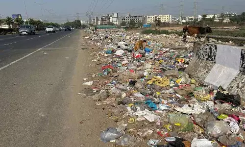ग्रेटर Mohali अथॉरिटी ने कूड़ा फेंकने की ओर से आंखें मूंद लीं ग्रेटर Mohali अथॉरिटी ने कूड़ा फेंकने की ओर से आंखें मूंद लीं