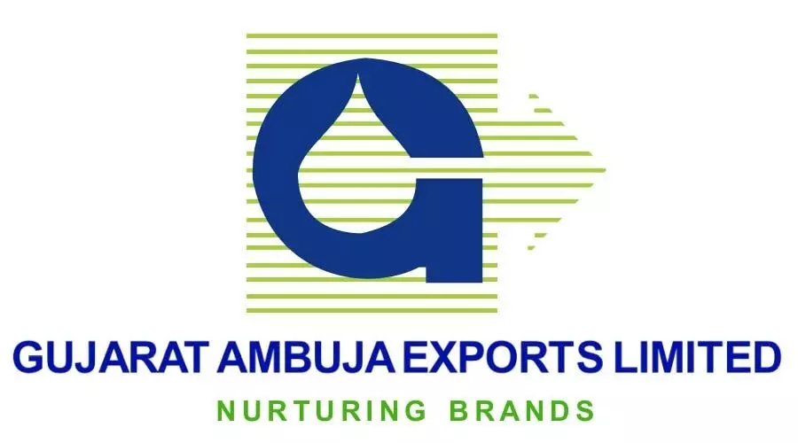 Gujarat Ambuja Exports शेयर की कीमत में 3.43% ऊपर