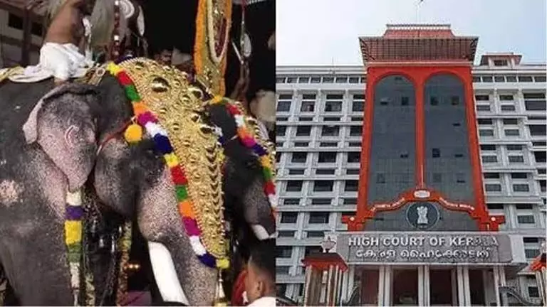 हाथी हत्या मामले में High Court ने मंदिर प्रबंधन समिति की आलोचना की