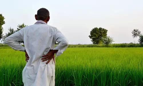 सरकार ने किफायती कीमतों पर उर्वरकों की उपलब्धता सुनिश्चित की सरकार ने किफायती कीमतों पर उर्वरकों की उपलब्धता सुनिश्चित की