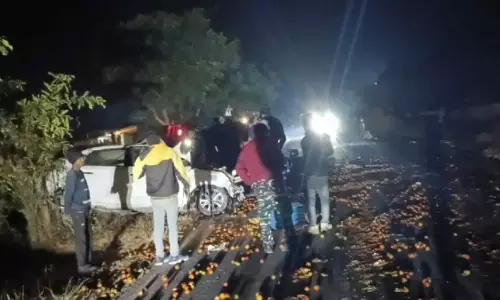 CG एक्सीडेंट: 3 लोगों की उखड़ी सांसें, कार और सब्जियों से भरी पिकअप की टक्कर