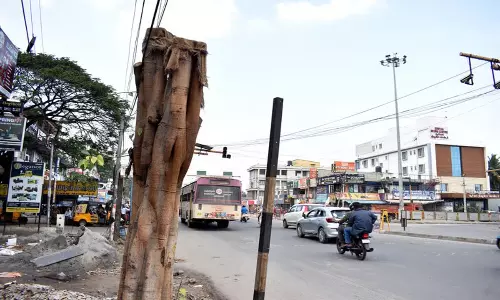 Tamil Nadu: फ्लाईओवर निर्माण के लिए 17 पेड़ों को हटाया जाएगा Tamil Nadu: फ्लाईओवर निर्माण के लिए 17 पेड़ों को हटाया जाएगा