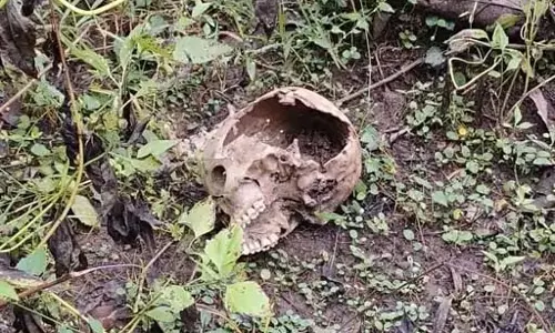 छत्तीसगढ़ में लड़की की सड़ी-गली लाश मिलने से हड़कंप, सिर धड़ से अलग दिखा