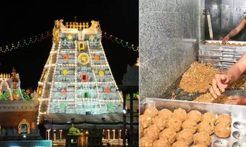 TTD: भक्तों के लिए लड्डू प्रसाद पर अप्रत्याशित निर्णय, दर्शन विराम