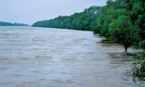 Odisha: सरकार ओडिशा में मैंग्रोव क्षेत्र को 632 हेक्टेयर तक बढ़ाएगी Odisha: सरकार ओडिशा में मैंग्रोव क्षेत्र को 632 हेक्टेयर तक बढ़ाएगी
