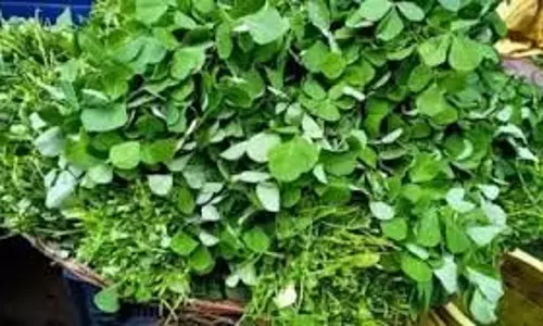Recipe: सर्दियों में बनाएं स्वाद और सेहत से भरपूर मेथी-पालक की सब्जी Recipe: सर्दियों में बनाएं स्वाद और सेहत से भरपूर मेथी-पालक की सब्जी