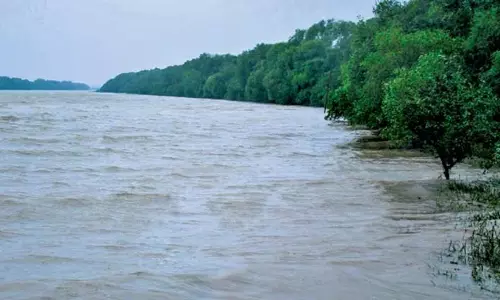 Odisha: सरकार अगले दो वर्षों में ओडिशा में मैंग्रोव क्षेत्र को 632 हेक्टेयर तक बढ़ाएगी Odisha: सरकार अगले दो वर्षों में ओडिशा में मैंग्रोव क्षेत्र को 632 हेक्टेयर तक बढ़ाएगी