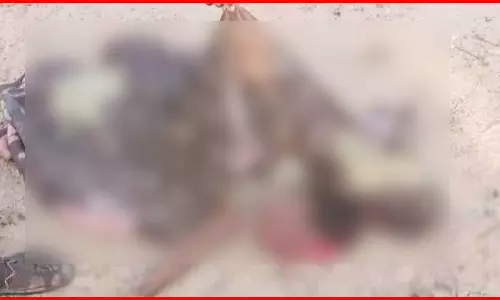 हाथी ने बच्ची को पटककर उतारा मौत के घाट, ग्रामीणों में दहशत का माहौल
