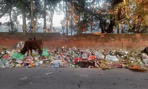 Haryana :  यमुनानगर में खराब सफाई व्यवस्था से स्थानीय लोग परेशान