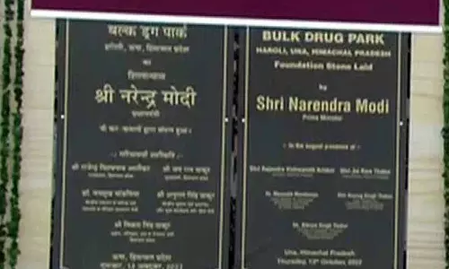 Haroli Bulk Drug Park को पर्यावरण मंजूरी एक पखवाड़े में मिलने की संभावना