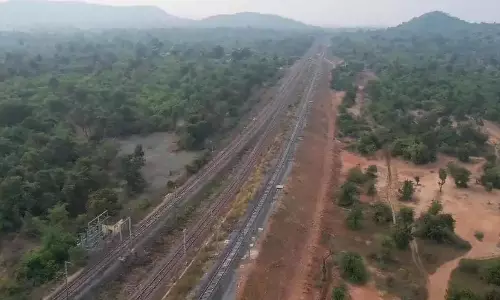 Kagaznagar के जंगल में बाघों के लिए रेलवे ट्रैक जानलेवा खतरा