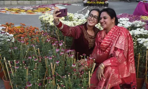 PAU क्राइसेंथेमम शो में 2K फूलों की किस्में प्रदर्शित