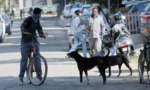 Panchkula district में कुत्तों के काटने के मामले बढ़े Panchkula district में कुत्तों के काटने के मामले बढ़े