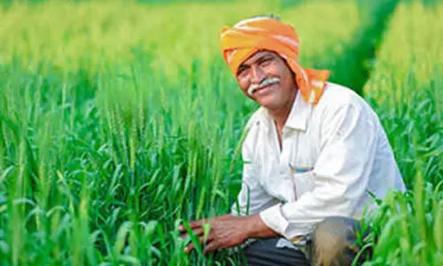 Punjab: प्रति एकड़ 2 हजार रुपए बोनस वेब पोर्टल के तहत पंजीकृत भूमि पर दिया जाएगा Punjab: प्रति एकड़ 2 हजार रुपए बोनस वेब पोर्टल के तहत पंजीकृत भूमि पर दिया जाएगा