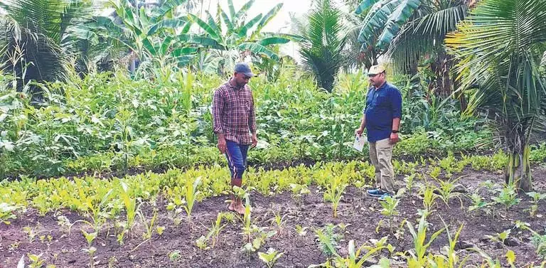 Andhra Pradesh प्राकृतिक खेती का एक प्रेरक उदाहरण बनकर उभरा