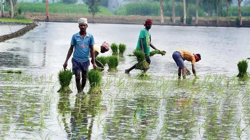 Haryana में भूजल दोहन का स्तर 136%, पंजाब में 164% तक पहुंचा