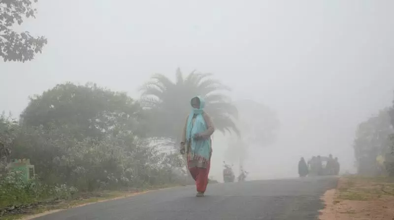 AP: सुरक्षा चिंताओं के कारण लम्बासिंगी व्यूपॉइंट अस्थायी रूप से बंद कर दिया