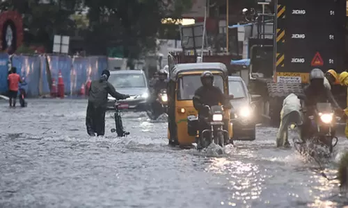 Tamil Nadu: धर्मपुरी में 2,194 हेक्टेयर कृषि भूमि जलमग्न