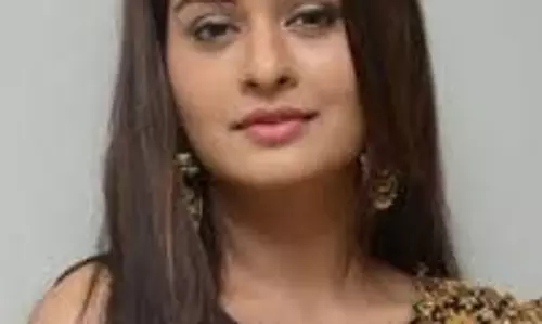 Payal Rajput  Birthday : बॉलीवुड से लेकर साउथ सिनेमा तक मचा चुकी है धूम